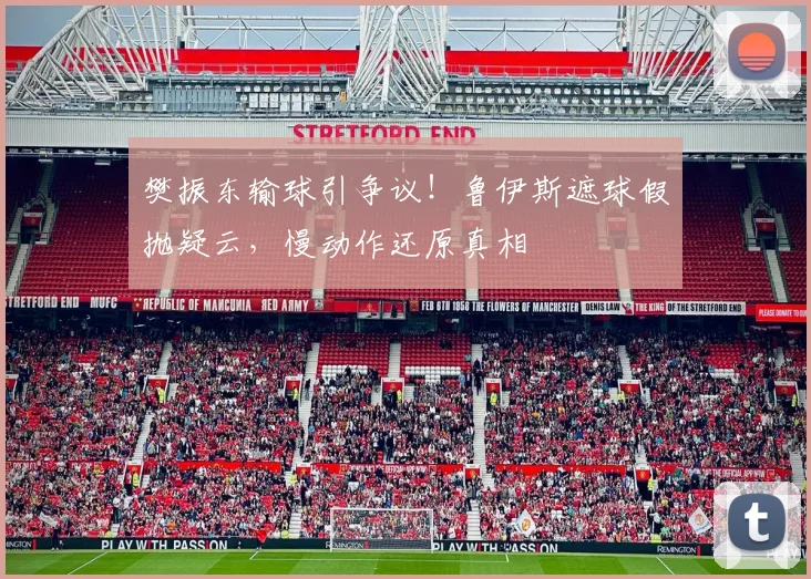 樊振东输球引争议！鲁伊斯遮球假抛疑云，慢动作还原真相
